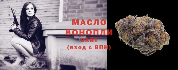шишки Бородино