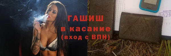 шишки Бородино