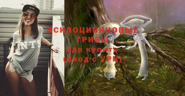 не бодяженный Богданович