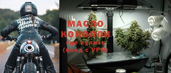 шишки Бородино